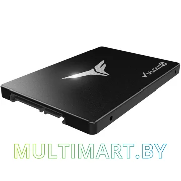 SSD диск Team Vulcan G 512GB (T253TG512G3C301)